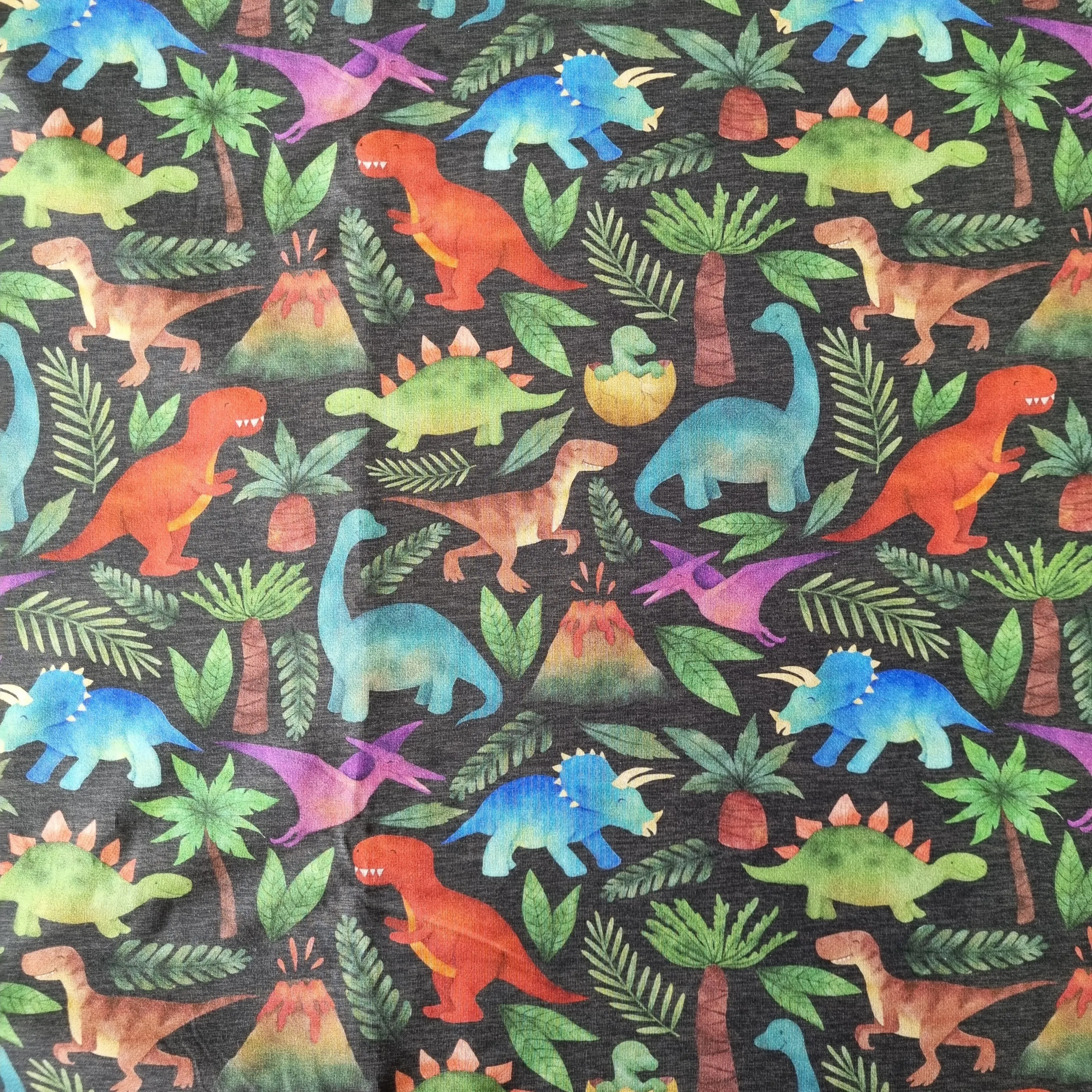 Dinosaurs   - Oisìn Top