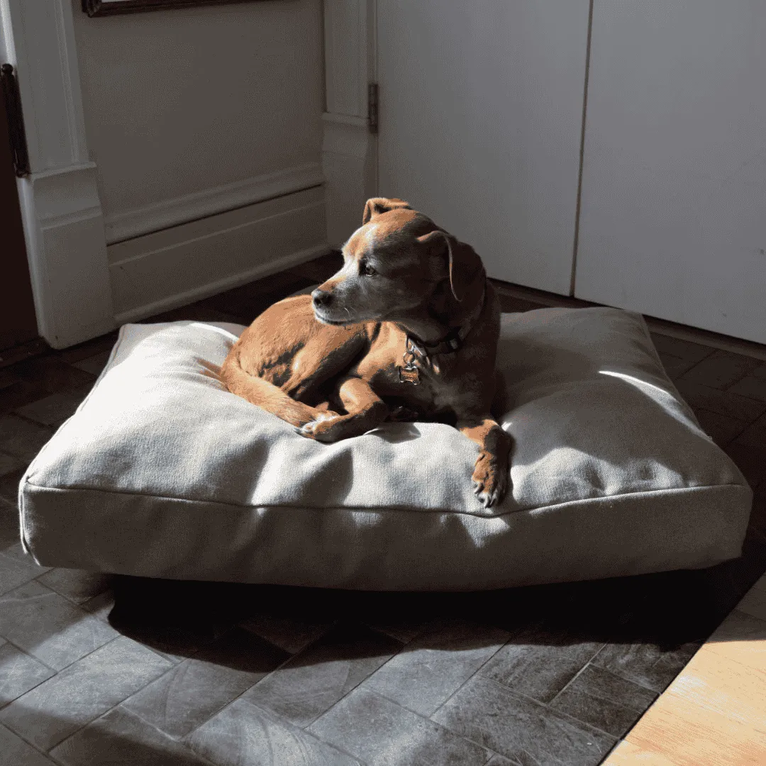 Organic Dog Bed - Hemp & Latex