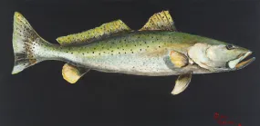 Sea Trout on Black #38